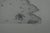 Gochka Charewicz, La plage, Lithograph For Sale - Image 6 of 7