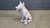 White Vintage Concrete Guard Dog Sculpture, 1960s For Sale - Image 8 of 15