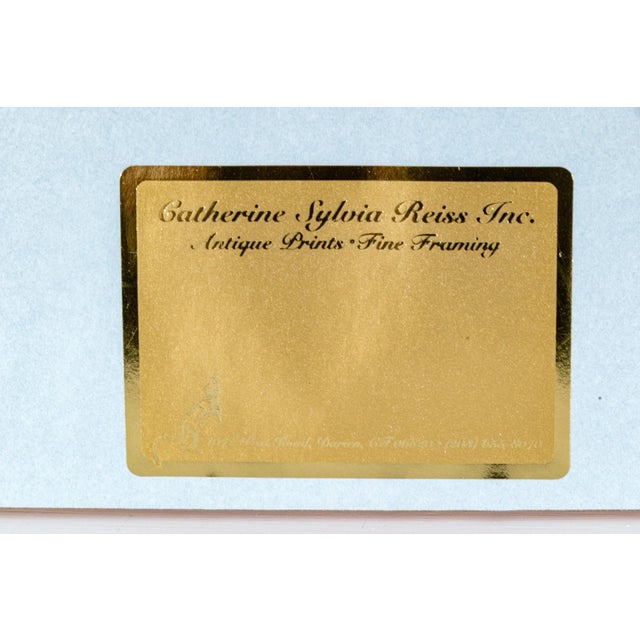 Antique Framed Botanical Prints of Camellia Flowers by Bernard Léon (Belgian, 19th Century) - A Pair For Sale - Image 9 of 12