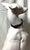 1960s Large Tall Ceramic Whippet Greyhound Dog 28” Tall For Sale - Image 10 of 12