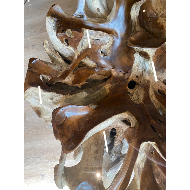 Teak Root Ball Base Glass Top Coffee Table Lg For Sale - Image 9 of 10