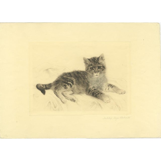 1980s Kurt Meyer-Eberhardt, Cat Etching, 1980s, Paper For Sale - Image 5 of 5