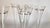 Vintage French Crystal Champagne Coupes, Set of 6 For Sale - Image 10 of 13