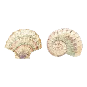 Vintage Omnibus Seashell by Fitz and Floyd Dessert Plates- Set of 2