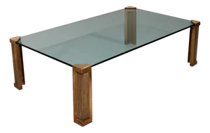 Vintage Model T14 Coffee Table from Peter Ghyczy, 1970s