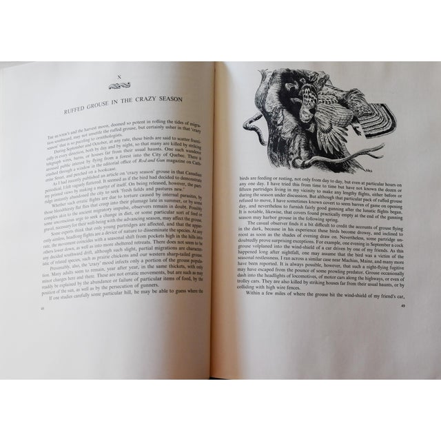 "The Ruffed Grouse" — Henry Marion Hall — First Edition 1946 — Oxford University Press — Illustrated by Ralph Ray For Sale - Image 13 of 14