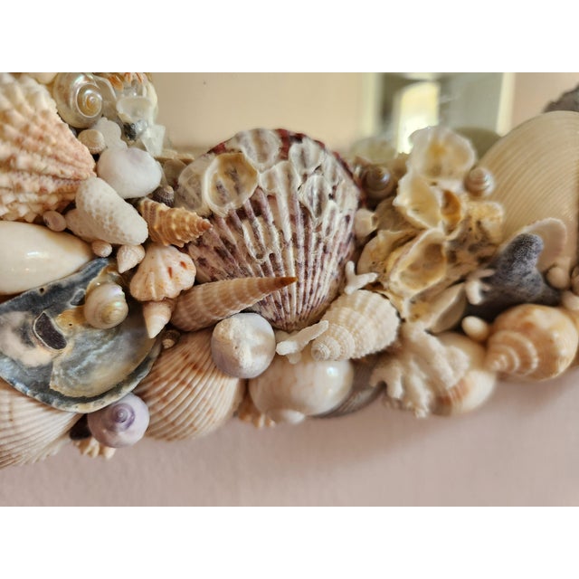 Seashell Encrusted Wall Mirror, Coastal Grandma Decor, Scallop Shell Accent For Sale In New York - Image 6 of 16