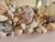 Seashell Encrusted Wall Mirror, Coastal Grandma Decor, Scallop Shell Accent For Sale In New York - Image 6 of 16