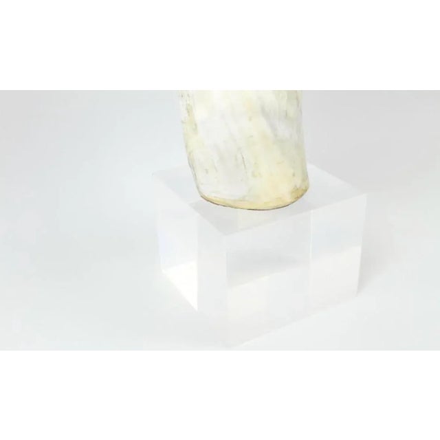1990s Lucite Mounted Steer Horn For Sale - Image 4 of 9