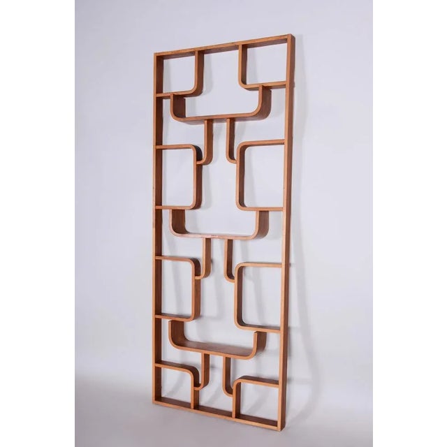 Mid-Century Room Divider in Mahogany attributed to Ludvik Volak for Drevopodnik Holesov, Former Czechoslovakia, 1960s For Sale - Image 6 of 8