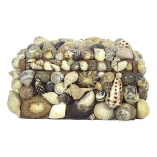 Vintage Snail Shell Encrusted Box For Sale