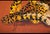 1970s 1970s Hollywood Regency Cheetahs and Roman Helmet Oil on Burlap, Signed Wyman For Sale - Image 5 of 9