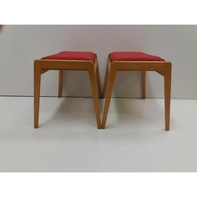Set of Beech Stools from ULUV, Czechoslovakia, 1960 For Sale - Image 6 of 10