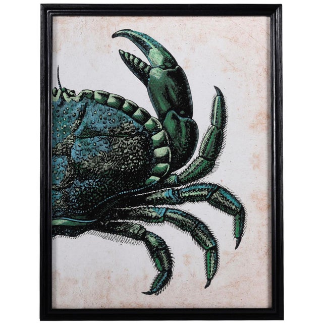 French Wall Art Set, Blue Crab - Set of 2 For Sale - Image 3 of 6