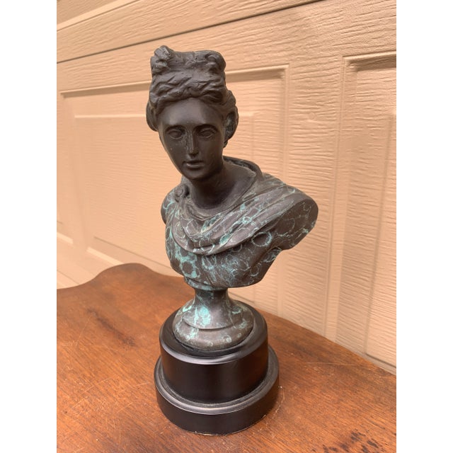 Grand Tour Classical Verdigris Brass Bust of Apollo Belvedere For Sale - Image 3 of 11