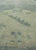 Early 21st Century Turkish Oushak Rug 9'10" x 14' #18526 For Sale - Image 5 of 8