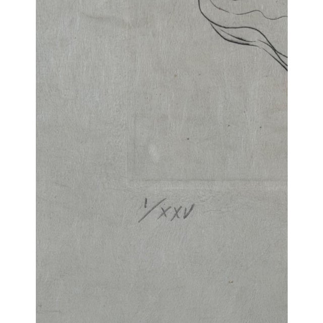 1970s Dali Escargot Hand Signed Numbered Etching Surreal Rare Art For Sale - Image 5 of 5