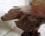 1960s Coffee Table With Burl Wood Top For Sale - Image 4 of 6