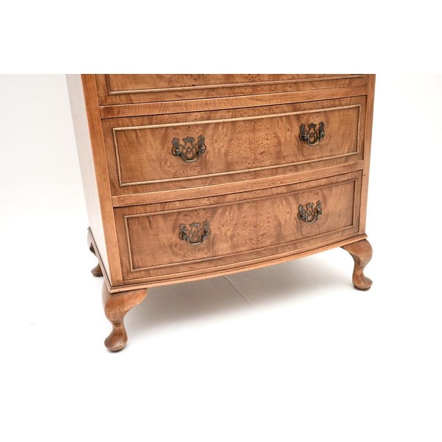 Bow Front Burr Walnut Chest of Drawers, 1930s For Sale - Image 10 of 11