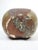 Olive Mid 20th Century Studio Pottery Double Neck Vase For Sale - Image 8 of 9