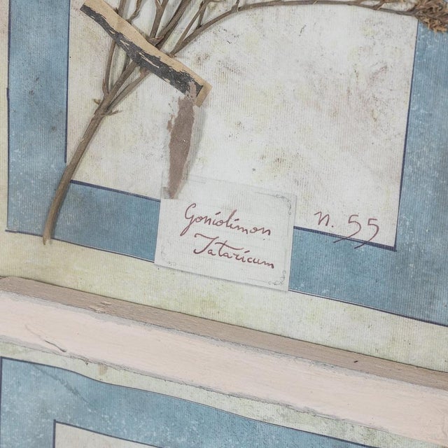 Wood Large Italian Oak Frame Containing Pressed Flowers and Herbs, 1980s For Sale - Image 7 of 18