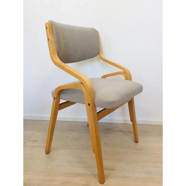 Mid-Century Modern Set of Chairs by Ludwig Volak for Drevopodnik Holesov For Sale - Image 3 of 13