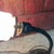 1930s Aladdin Gooseneck Desk Lamp With Embossed Milk Glass Shade For Sale - Image 9 of 17