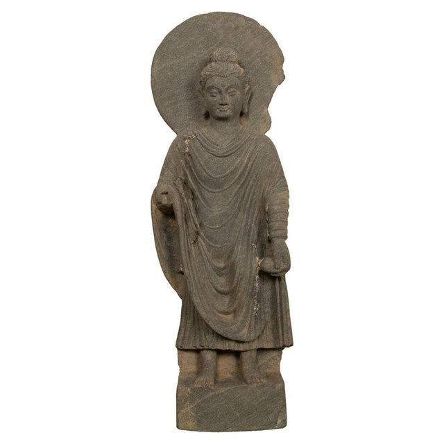 Ancient Indian Carved Stone Gandharan Shakyamuni Buddha Statue 2nd Century A.D. For Sale - Image 11 of 16