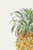 Paint Vintage Hand-Drawn Pineapple, Botanical Art Print Reproduction, 20" X 30" For Sale - Image 7 of 10