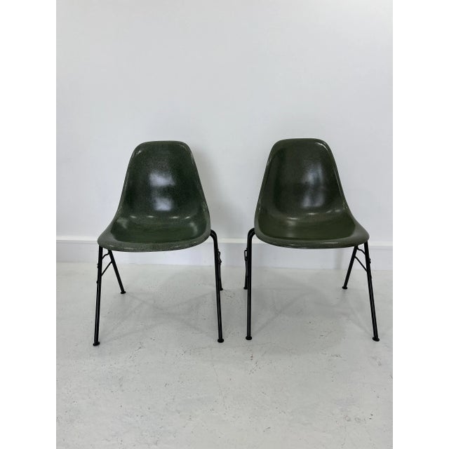 Fiberglass DSS Stacking Chairs by Ray & Charles Eames for Herman Miller, 1970 Set of 4 For Sale - Image 10 of 16