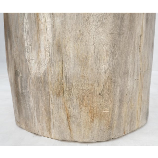 Beige Large Petrified Wood Organic Stomp Shape Stand End Side Table Pedestal For Sale - Image 6 of 9