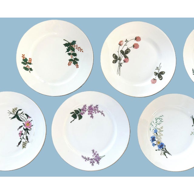 Late 19th Century Late 19th Century Limoges Cabinet Plate Collection - Set of 8 For Sale - Image 5 of 16
