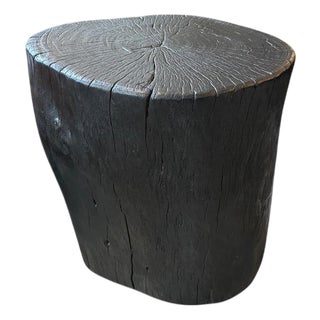 Andrianna Shamaris Amorphous Charred Lychee Wood Side Table For Sale