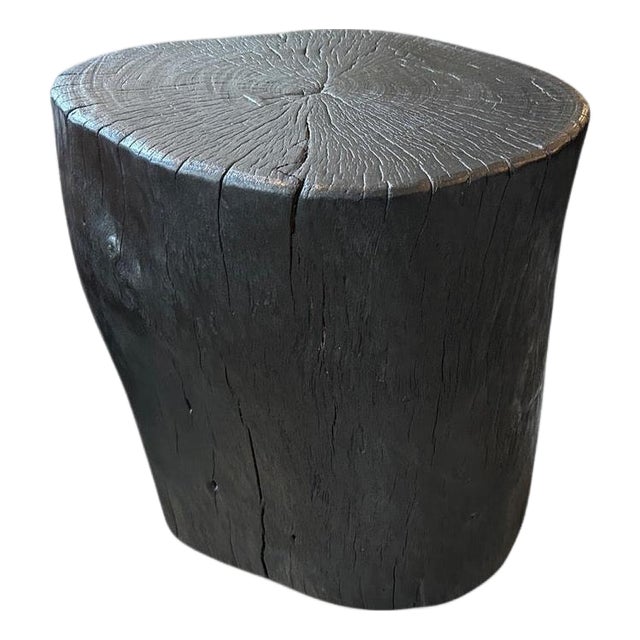 Andrianna Shamaris Amorphous Charred Lychee Wood Side Table For Sale
