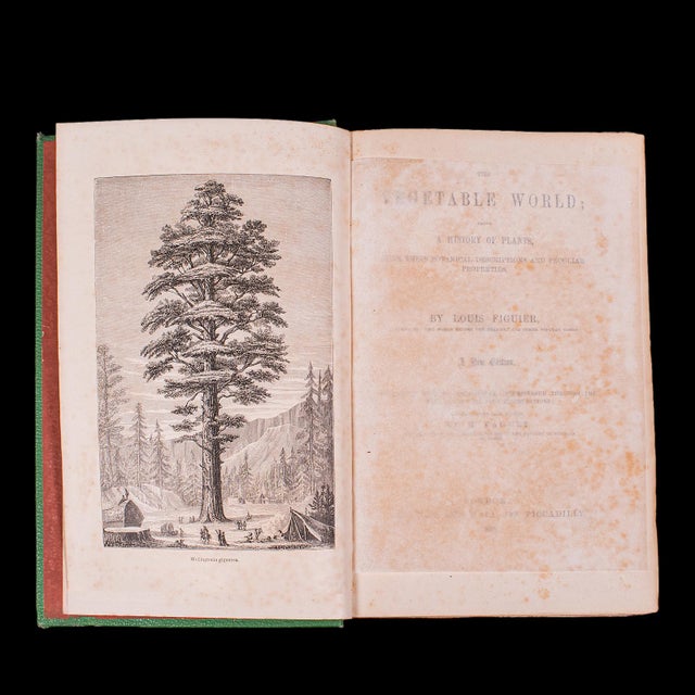 Victorian Antique Reference Book, the Vegetable World, English, Louis Figuier, Victorian For Sale - Image 3 of 12