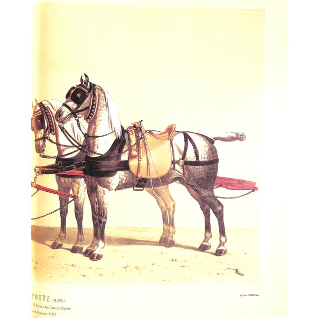 Paper "La Sellerie Francaise Et Etrangere" 1986 Lene For Sale - Image 7 of 8