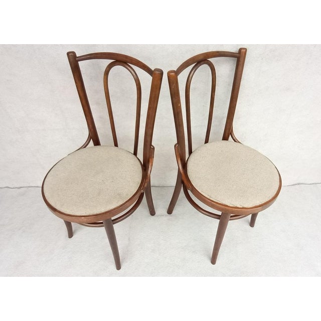 Set of Beech Bentwood Chairs from Tatra, 1960s For Sale - Image 10 of 17