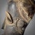 Wood Early 20th Century Bété Carved Wood Gre Mask With Fur Côte d'Ivoire For Sale - Image 7 of 11