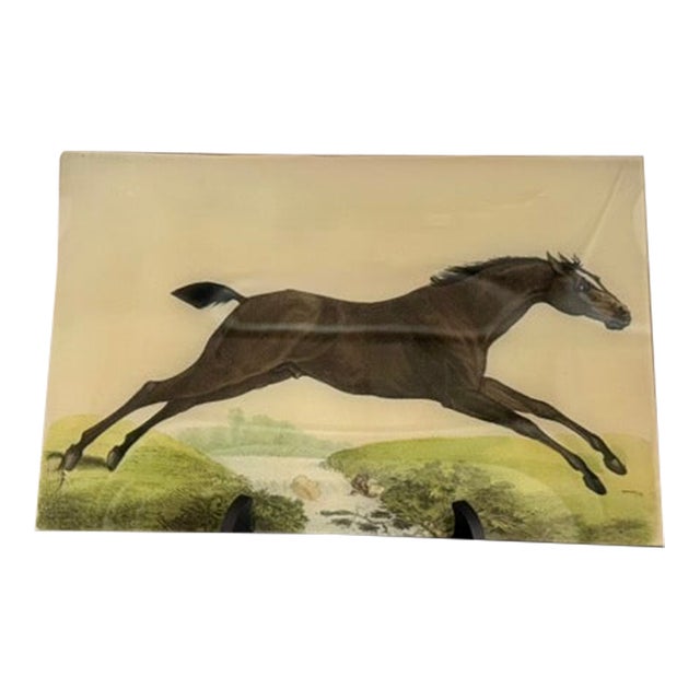 John Derian Jumping Horse 9 X 14 Letter Tray Decoupage Glass For Sale