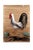 Vintage Painting of Rooster on Rock With Black Tail Feathers For Sale