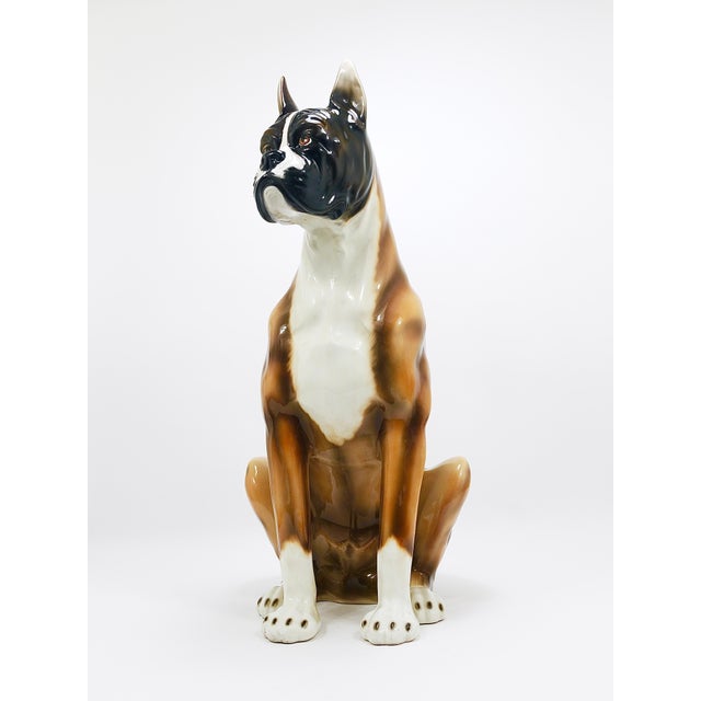 Boxer Dog Life-Size Majolica Statue Sculpture in Glazed Ceramic, Italy, 1970s For Sale - Image 10 of 18