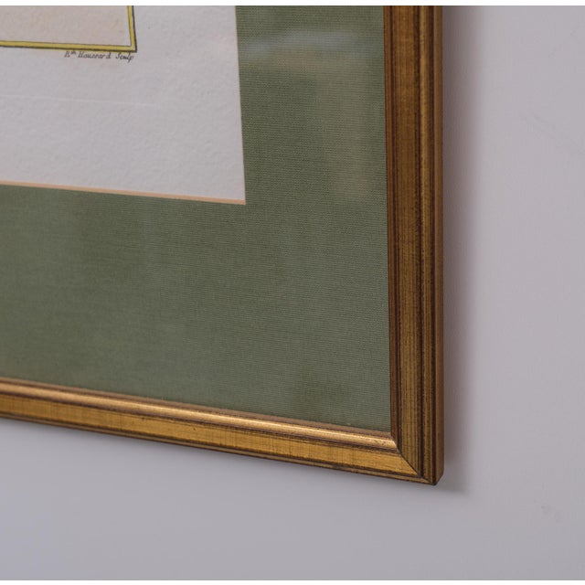 Elisabeth Haussard, Plant Illustrations, 1780, Engravings, Framed, Set of 2 For Sale - Image 8 of 16