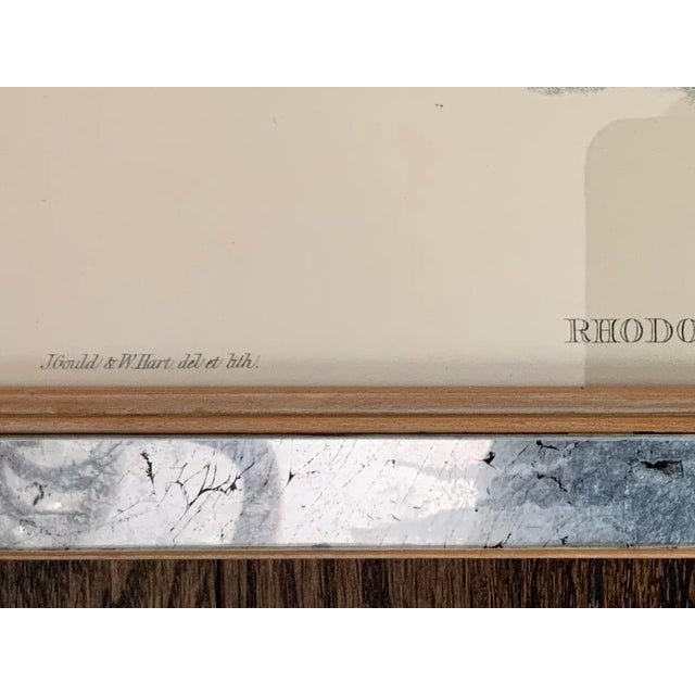 Hand Colored Bird Prints in Vintage Mercury Frames- Set of 3 For Sale In Chicago - Image 6 of 13