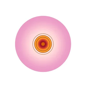 Giles Revell, Rosa Sweet Haze, 2018, Archival Pigment Print