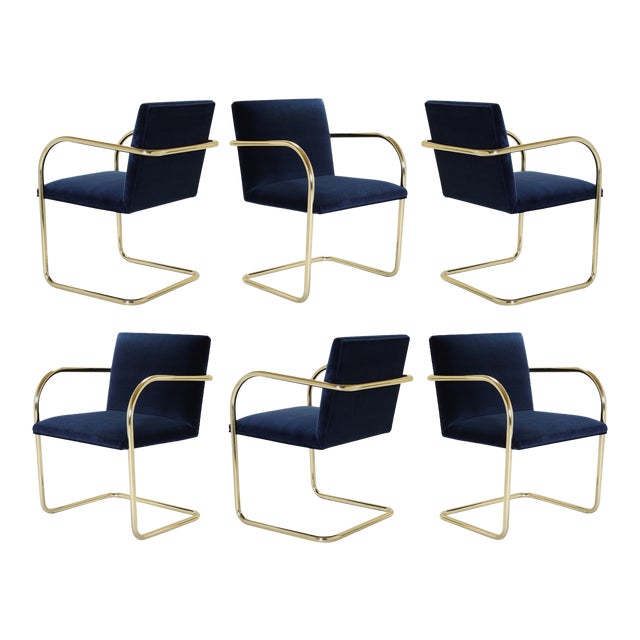 Brno Tubular Chairs in Navy Velvet & Polished Brass - Set of 6 For Sale