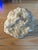15th Century & Earlier Large White Quartz Crystal Geode Specimen – 5.59 Pounds For Sale - Image 5 of 10