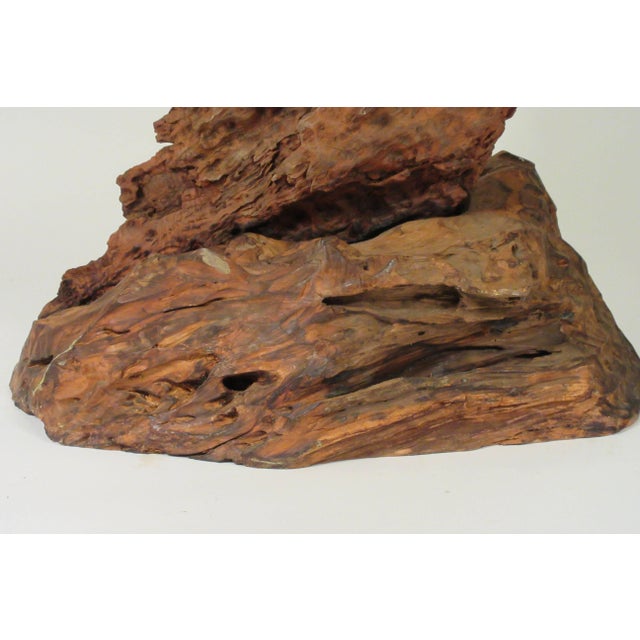 1960s 1960s Driftwood Sculpture For Sale - Image 5 of 13