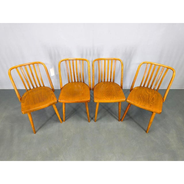 Dining Chairs by Antonin Suman for Ton, 1960s, Set of 4 For Sale - Image 4 of 18
