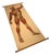 Vintage School Board Muscle of Man, Germany, 1950s For Sale