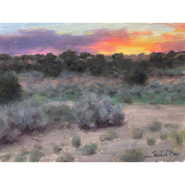 Sunset View From the Arroyo by Stephen Day | Oil on Panel Landscape with sunset and shrubs. For Sale